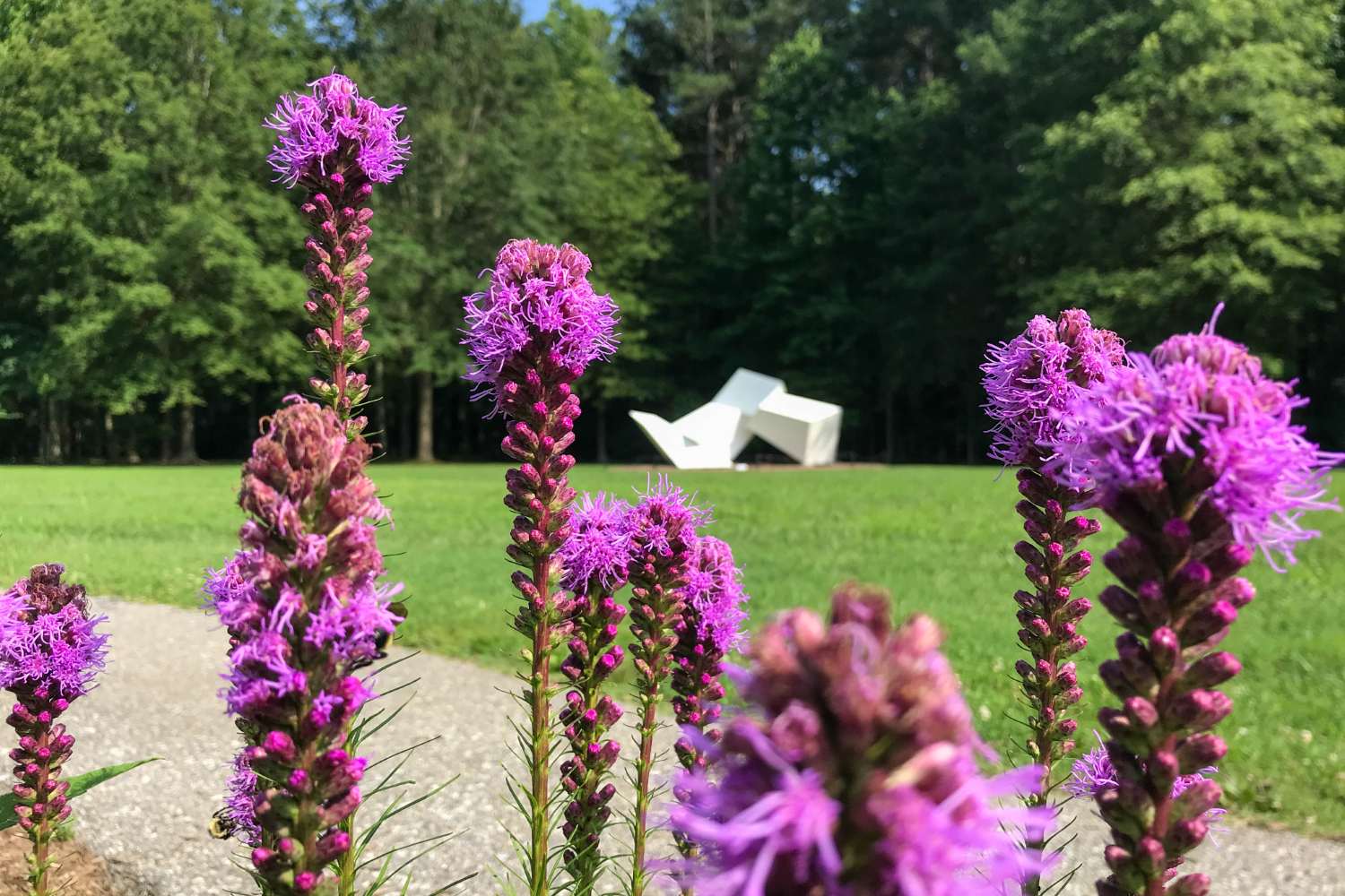 Annmarie Gardens