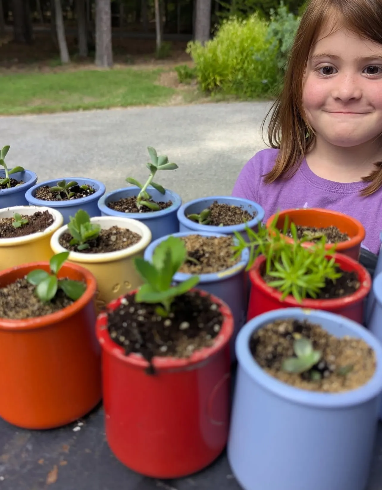 Garden Blog