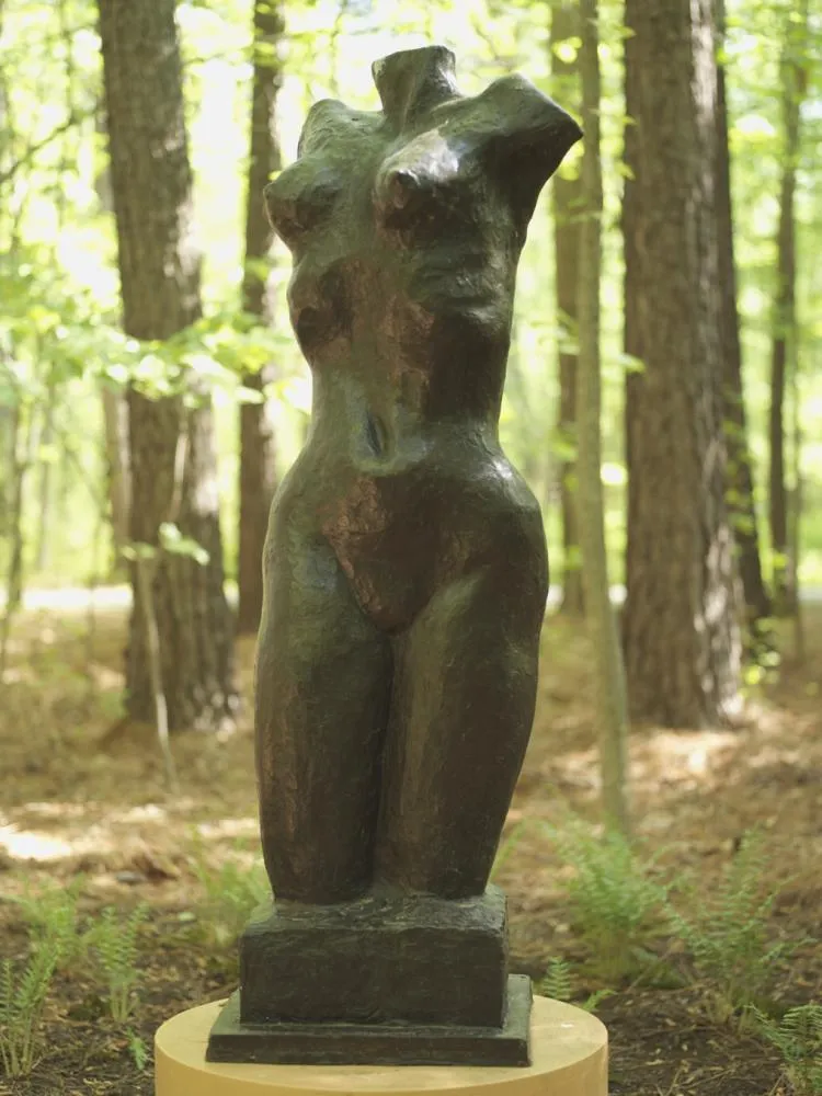 Torso